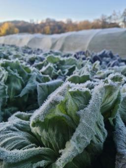 Image of 🎅LARGE Christmas box (3-4 people)