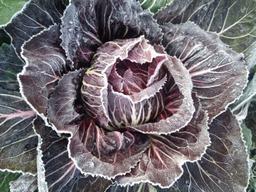 Image of 🎅MEDIUM Christmas box (2-3 people)