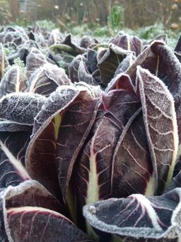 Image of 🎅SMALL Christmas box (1-2 people)