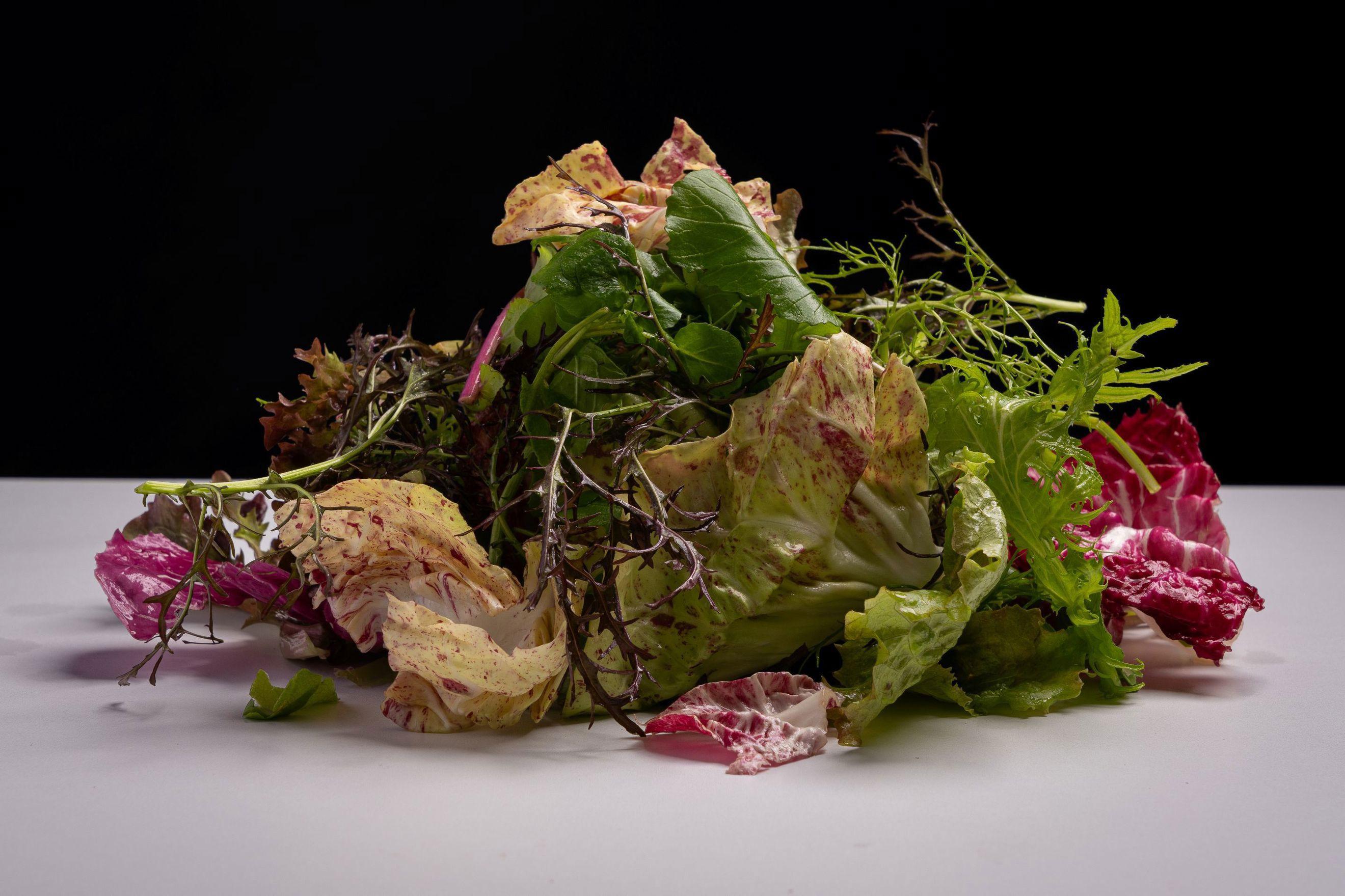 DOUBLE SALAD (collection from the farm only)