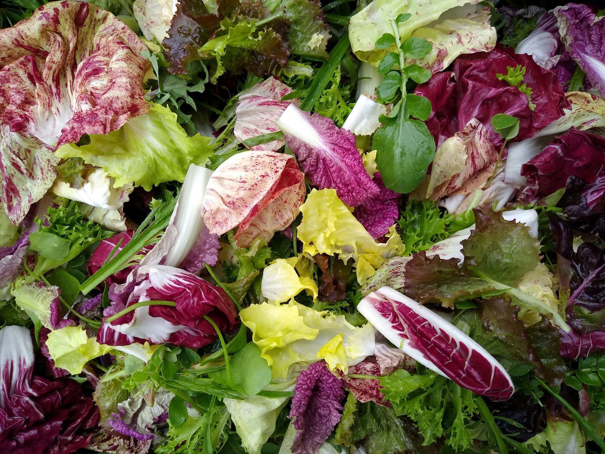 Salad bag (300g)