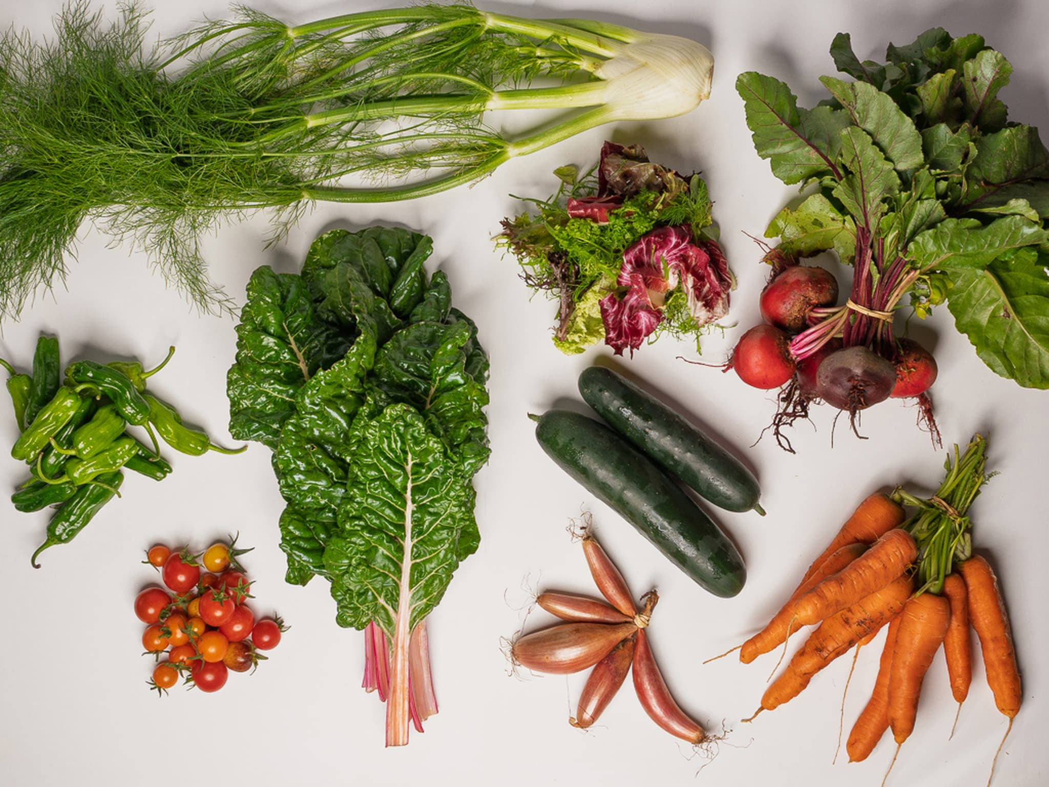 SEASONAL ORGANIC VEG BOXES