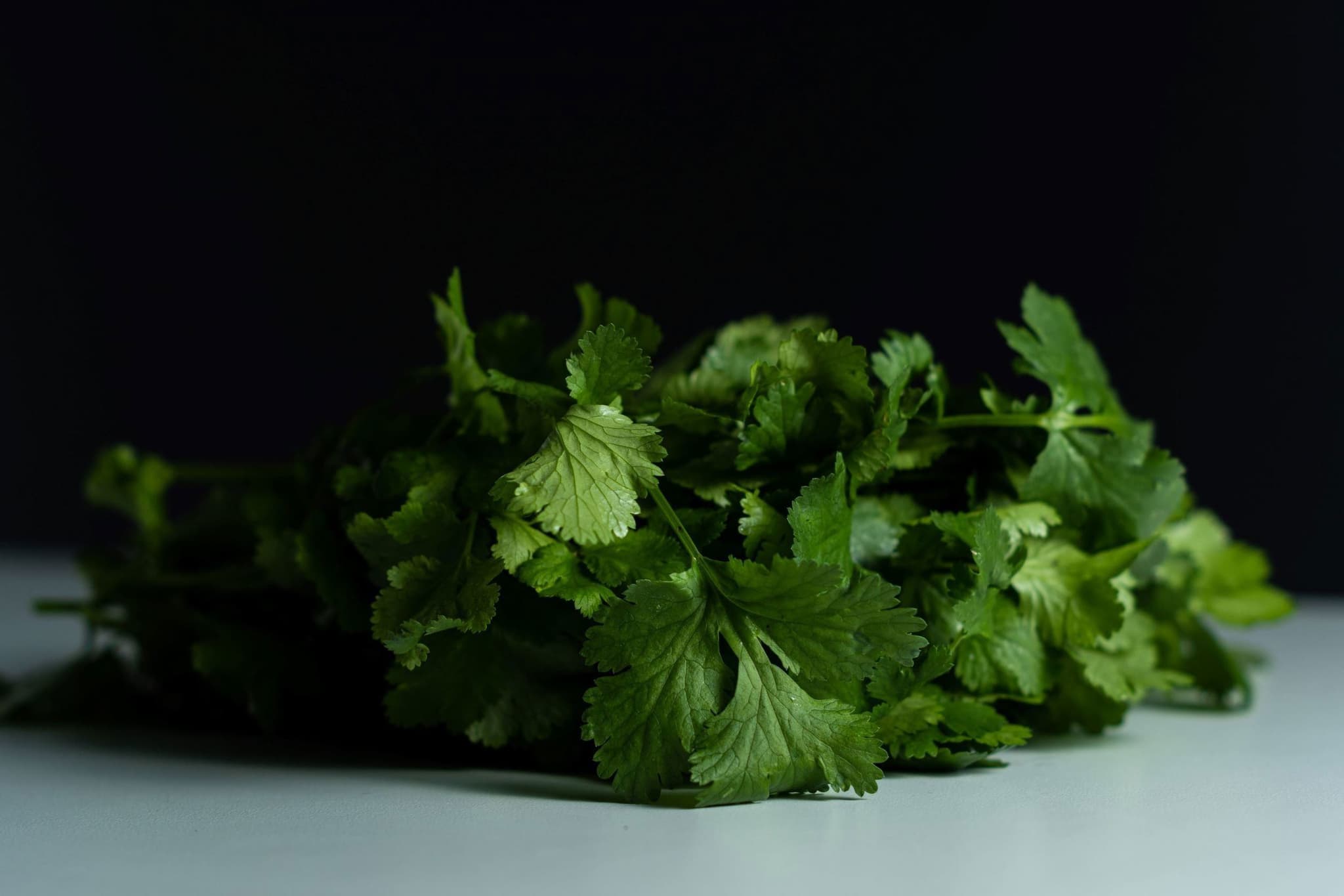 Coriander